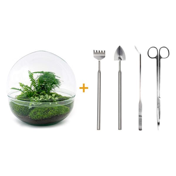 DIY terrarium - Dome XL - ↕ 30 cm - Rake + Shovel + Tweezer + Scissors  BotanicBridge