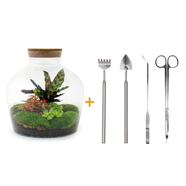 DIY terrarium - Fat Joe Rood - ↕ 30 cm - Rake + Shovel + Tweezer + Scissors  BotanicBridge