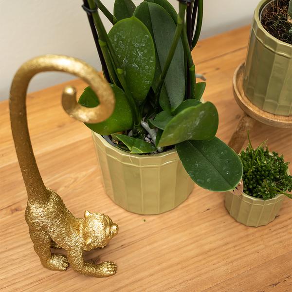 Kolibri Home | Ornament - Decoratie beeld Monkey long tail - Gold  BotanicBridge