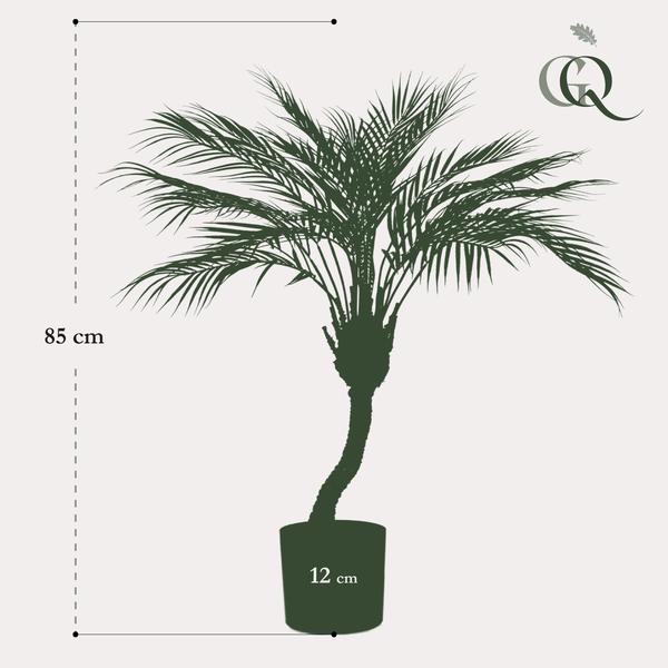 Kunstplant - Chamaedorea - Bergpalm - 85 cm  BotanicBridge