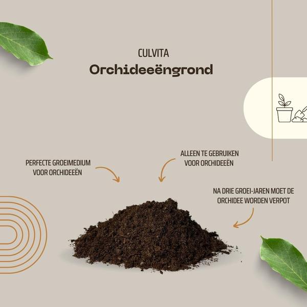 Culvita - Orchidee grond 5 liter - potgrond geschikt voor Orchidee  BotanicBridge